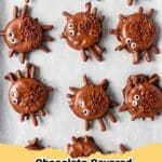 Delicious chocolate covered spiders with pretzel legs and candy eyes, perfect for a Halloween party.