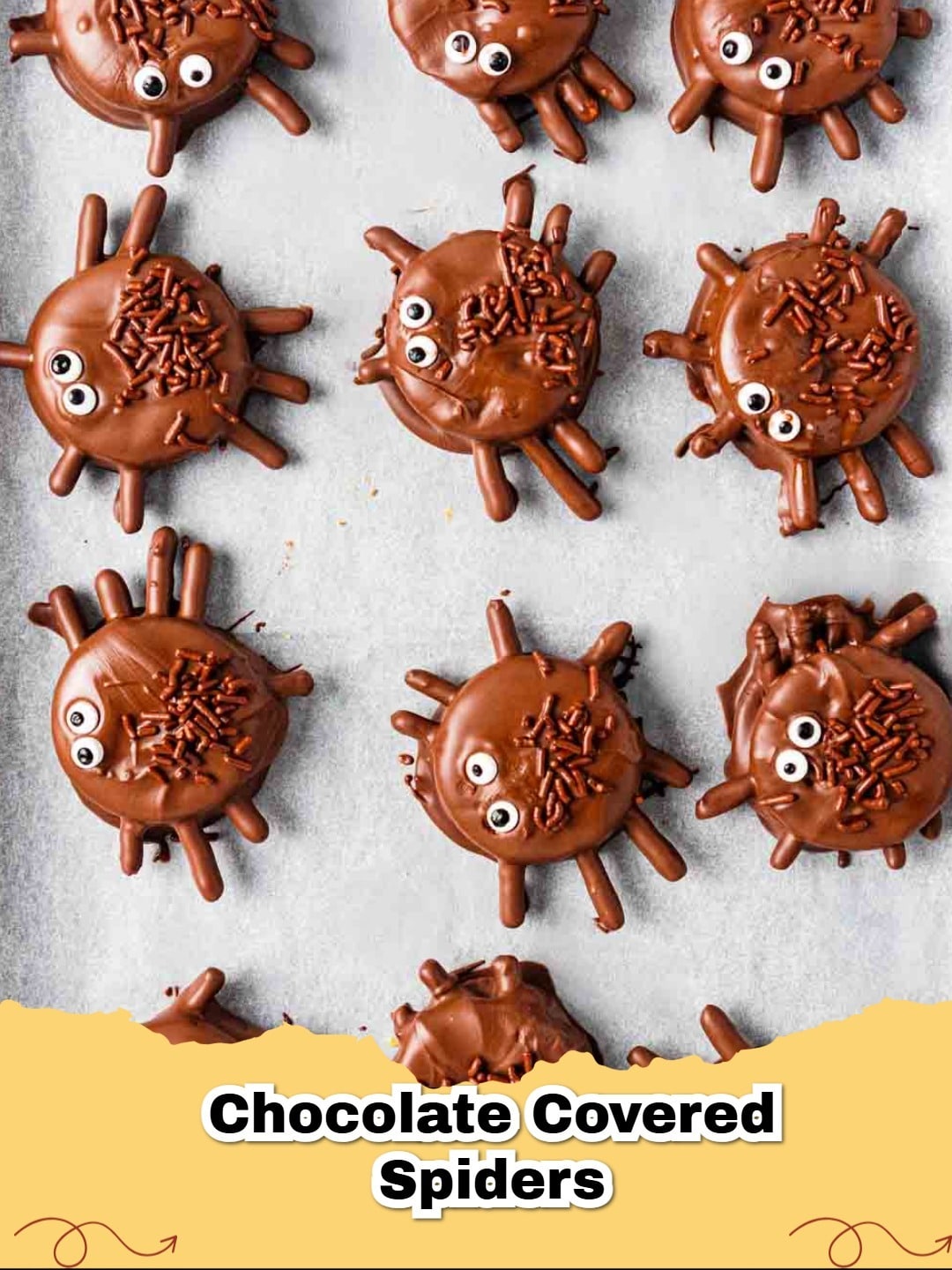 Delicious chocolate covered spiders with pretzel legs and candy eyes, perfect for a Halloween party.