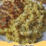 A close-up of a bowl of Creamy Garlic Parmesan Chicken Pasta, garnished with fresh parsley.