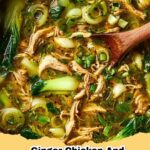 Delicious Ginger Chicken and Rice Soup with Bok Choy in a bowl, garnished with scallions.