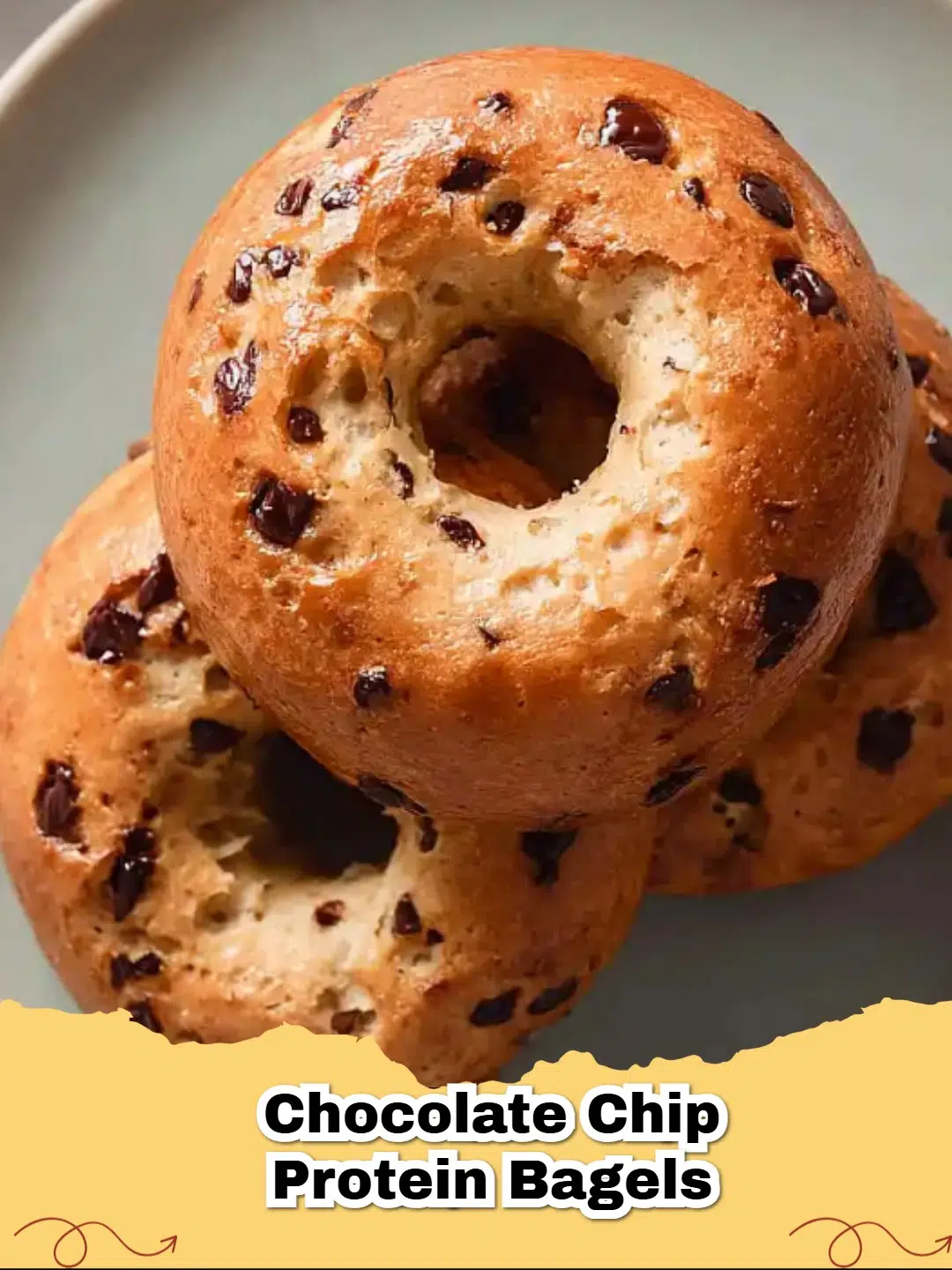 Freshly baked High Protein Chocolate Chip Bagels on a cooling rack
