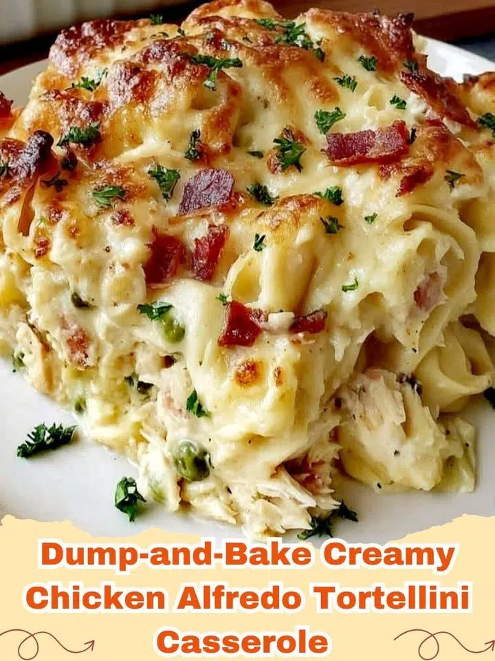 A close up view of Dump-and-Bake Creamy Chicken Alfredo Tortellini Casserole with melted cheese